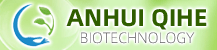 ANHUI QIHE 2025.11.8